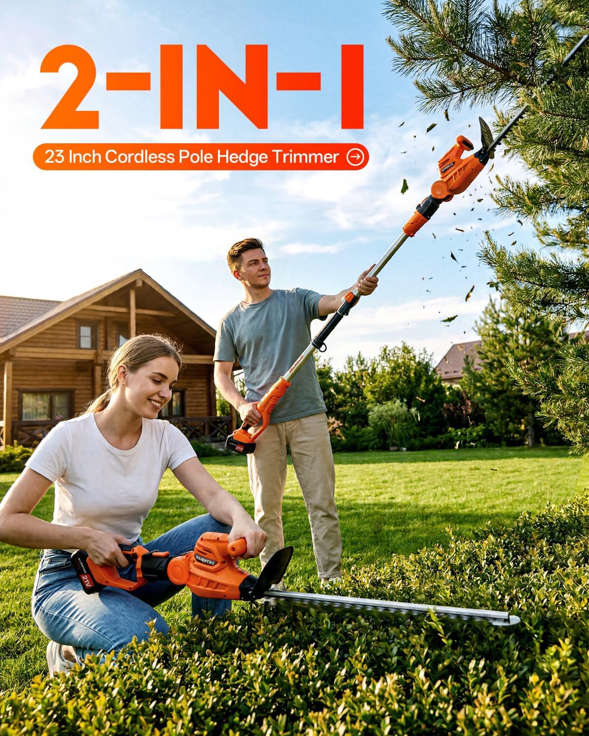 Draadloze 2-in-1 heggenschaar, - Cordless Hedge Trimmer Pole 2 In 1 recensie en prijs