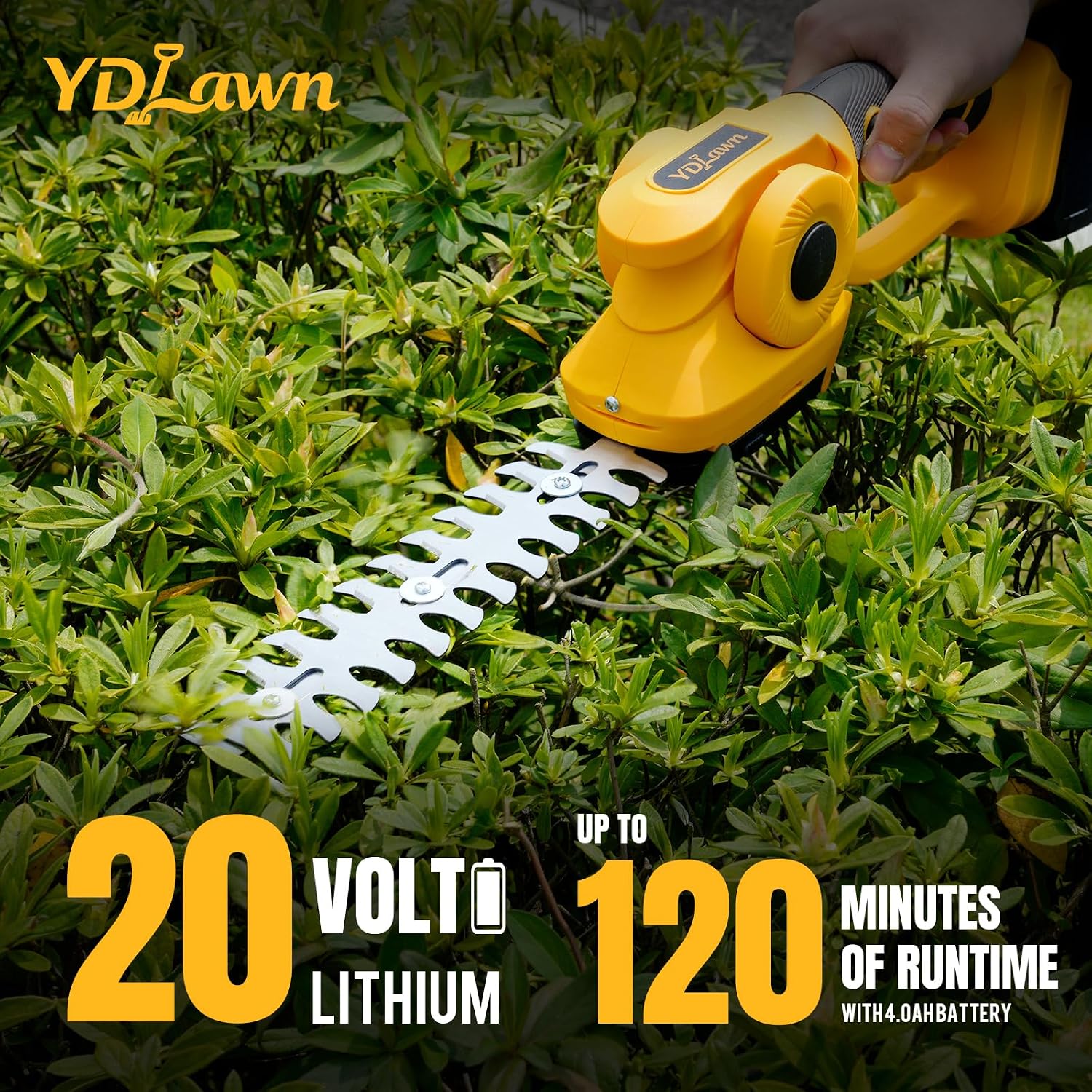 20V accu-haagschaar en graskni - Cordless Hedge Trimmer Pole 2 In 1 recensie en prijs