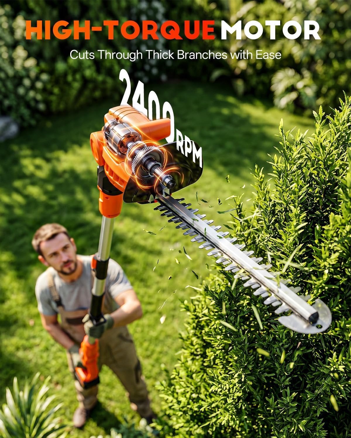Accu-haagschaar met een 2-in-1 - Cordless Hedge Trimmer Pole 2 In 1 recensie en prijs
